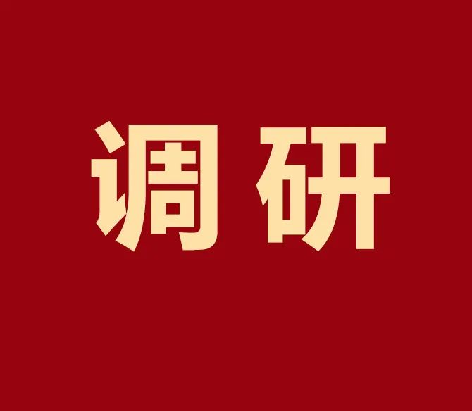 廣東省中小企業(yè)特色產(chǎn)業(yè)集群調(diào)研組蒞臨凱碩集團調(diào)研